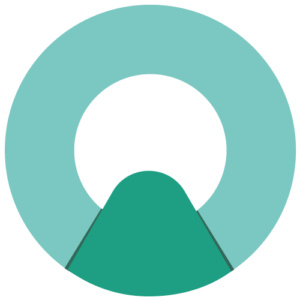 Optin logo bit