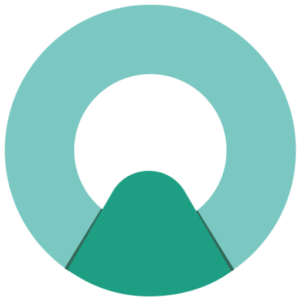 cropped Optin logo bit